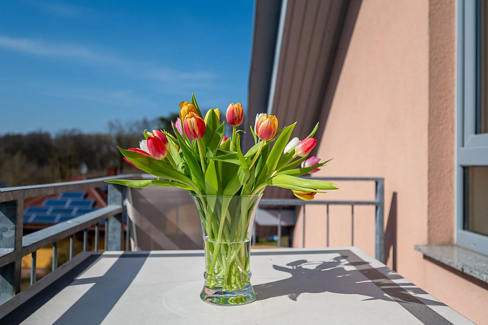Familien Apartment 1, Upstalsboom Koserow