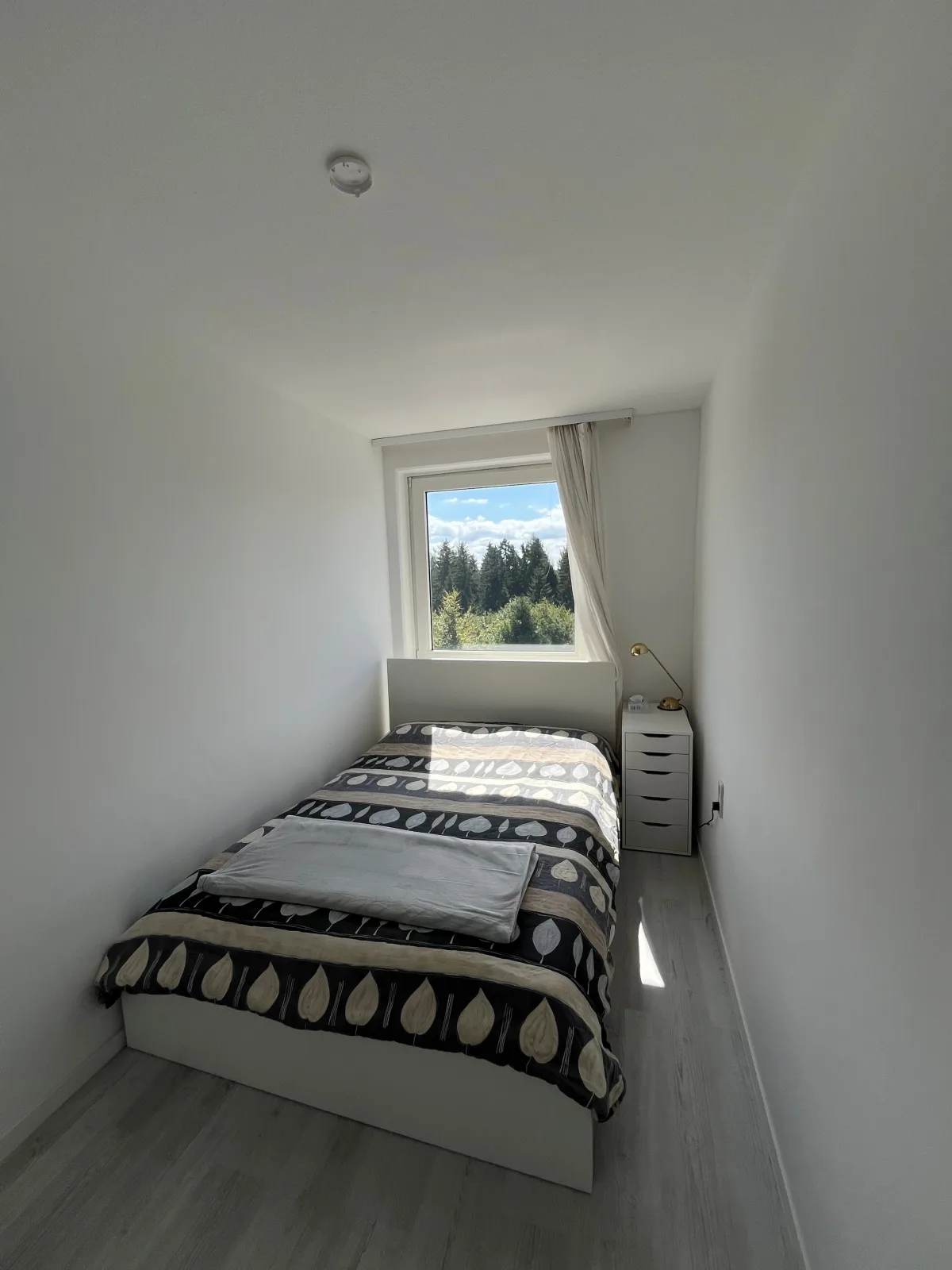 Bocksberg Horizont