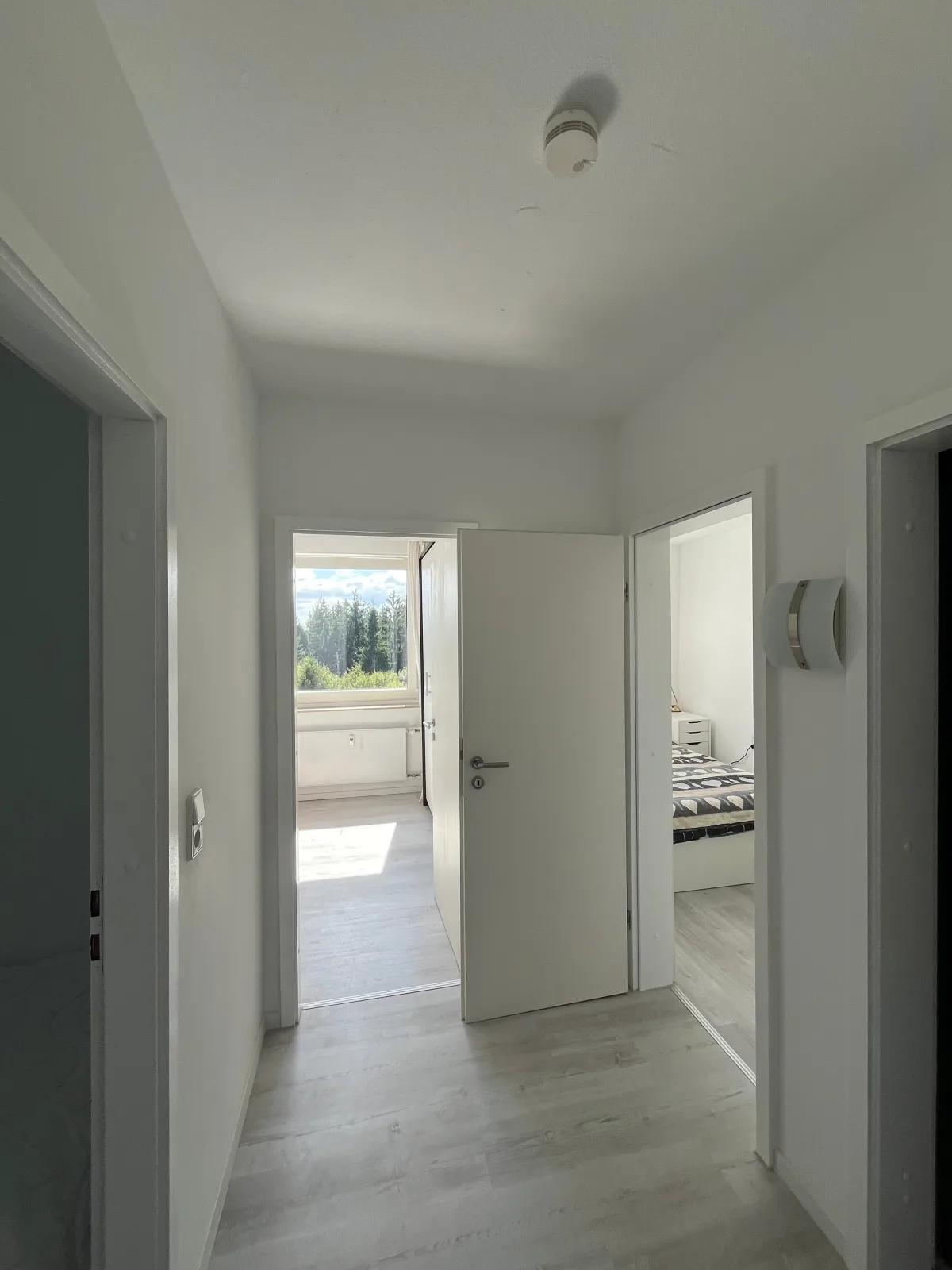 Bocksberg Horizont
