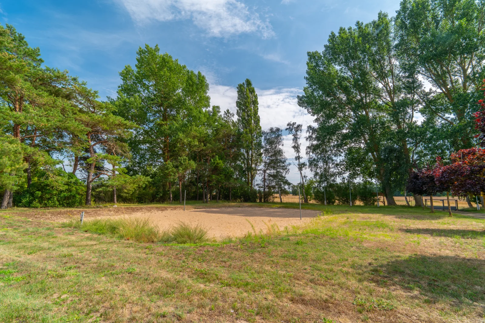 Schwalbennest 6