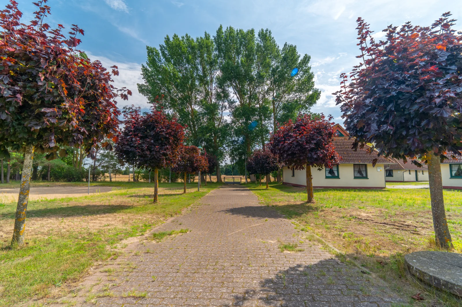 Schwalbennest 6