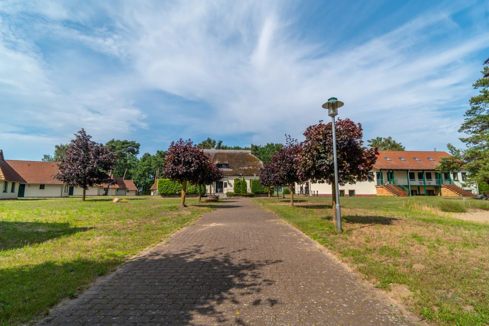 Schwalbennest 6
