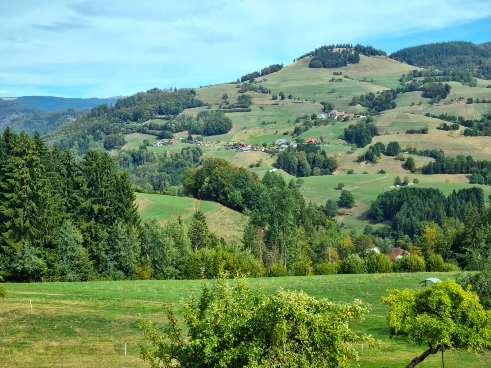 Annas Schwarzwaldstube